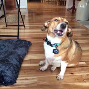 Meet your Posher, Ann